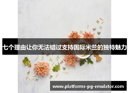 七个理由让你无法错过支持国际米兰的独特魅力 七个理由让你无法错过支持国际米兰的独特魅力