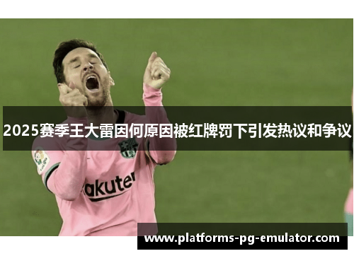 2025赛季王大雷因何原因被红牌罚下引发热议和争议 2025赛季王大雷因何原因被红牌罚下引发热议和争议