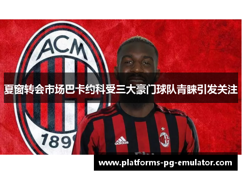 夏窗转会市场巴卡约科受三大豪门球队青睐引发关注 夏窗转会市场巴卡约科受三大豪门球队青睐引发关注