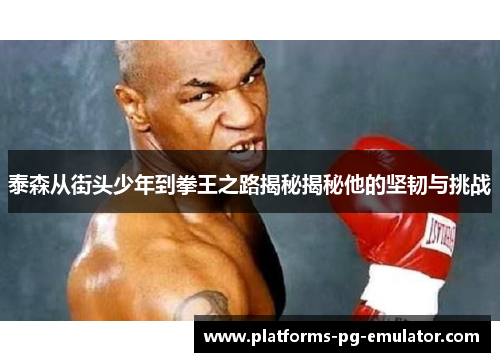 泰森从街头少年到拳王之路揭秘揭秘他的坚韧与挑战
