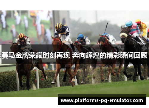 赛马金牌荣耀时刻再现 奔向辉煌的精彩瞬间回顾
