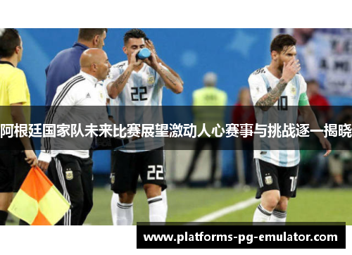 阿根廷国家队未来比赛展望激动人心赛事与挑战逐一揭晓