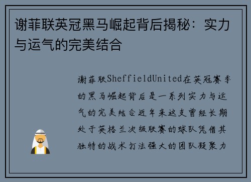 谢菲联英冠黑马崛起背后揭秘:实力与运气的完美结合 谢菲联英冠黑马崛起背后揭秘:实力与运气的完美结合